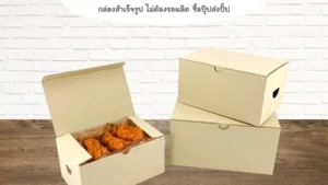 เทรนด์กล่องใส่อาหารรักษ์โลก ทางเลือกใหม่สำหรับธุรกิจเดลิเวอรี่ปี 2024-2025