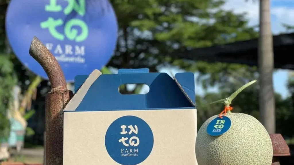 เคล็ดลับเพิ่มมูลค่าสินค้าด้วยกล่องหูหิ้วกระดาษดีไซน์สวยๆ