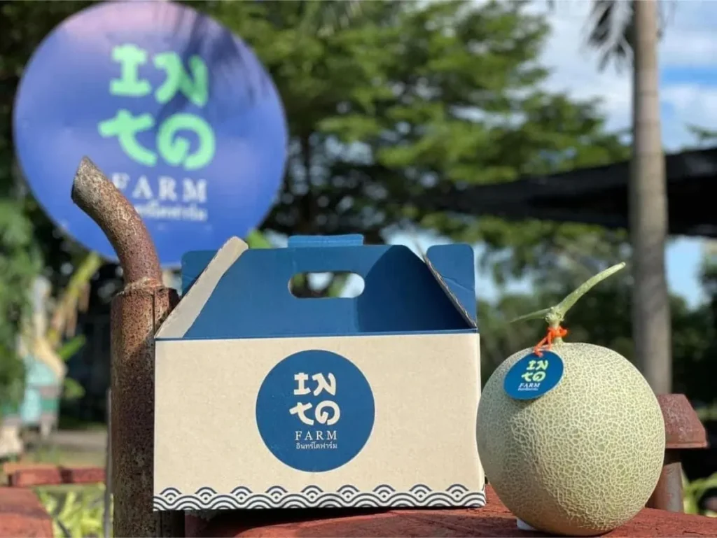 เคล็ดลับเพิ่มมูลค่าสินค้าด้วยกล่องหูหิ้วกระดาษดีไซน์สวยๆ