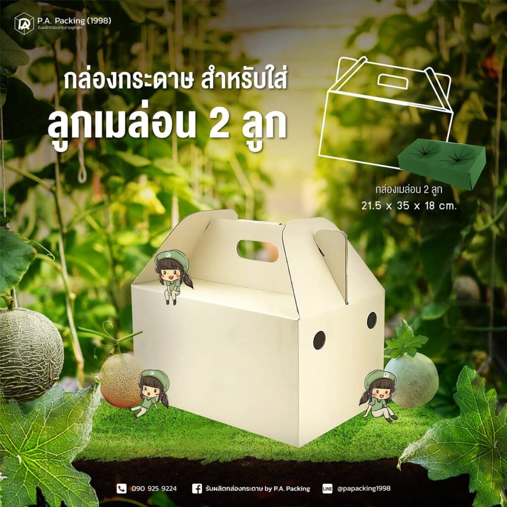 รีวิวกล่องใส่เมล่อนที่ได้รับความนิยมในตลาดปัจจุบัน