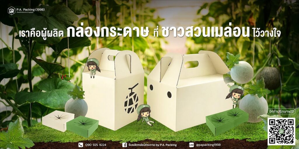 การออกแบบกล่องใส่เมล่อนให้ตรงตามมาตรฐานส่งออก