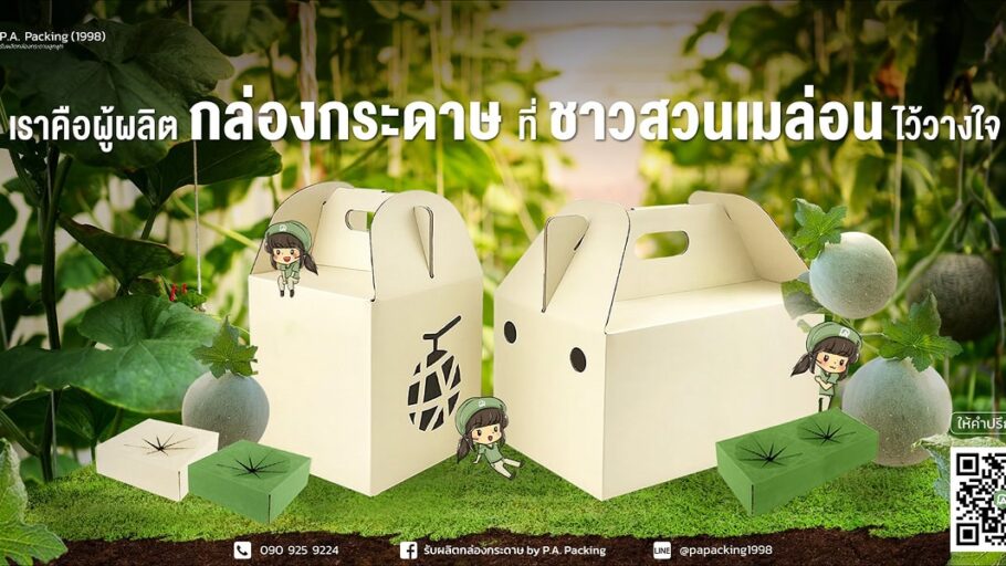 การออกแบบกล่องใส่เมล่อนให้ตรงตามมาตรฐานส่งออก