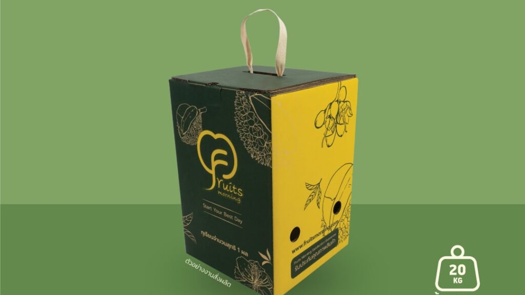 รีวิวกล่องใส่เมล่อนที่ได้รับความนิยมในตลาดปัจจุบัน