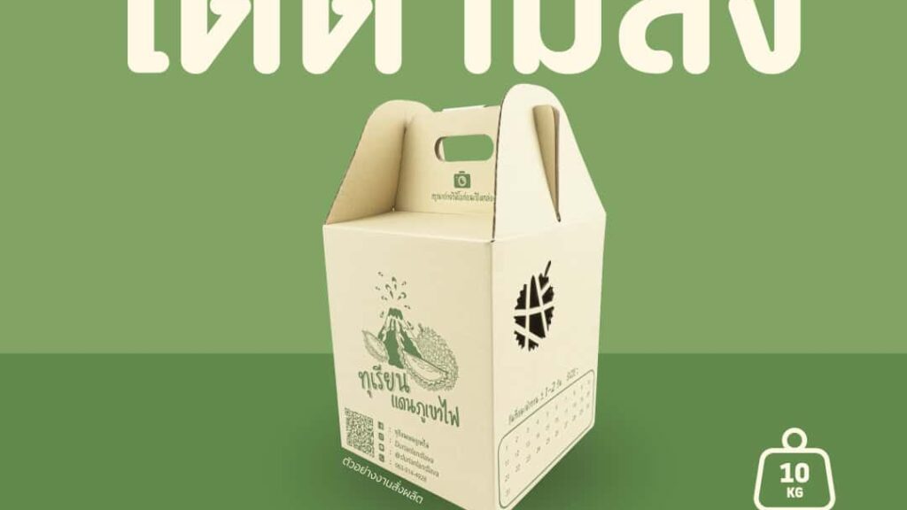 กล่องใส่ผลไม้ไดคัท เสริมความสวย ปลอดภัย ขนส่งมั่นใจ