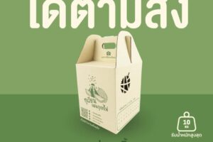 กล่องใส่ผลไม้ไดคัท เสริมความสวย ปลอดภัย ขนส่งมั่นใจ