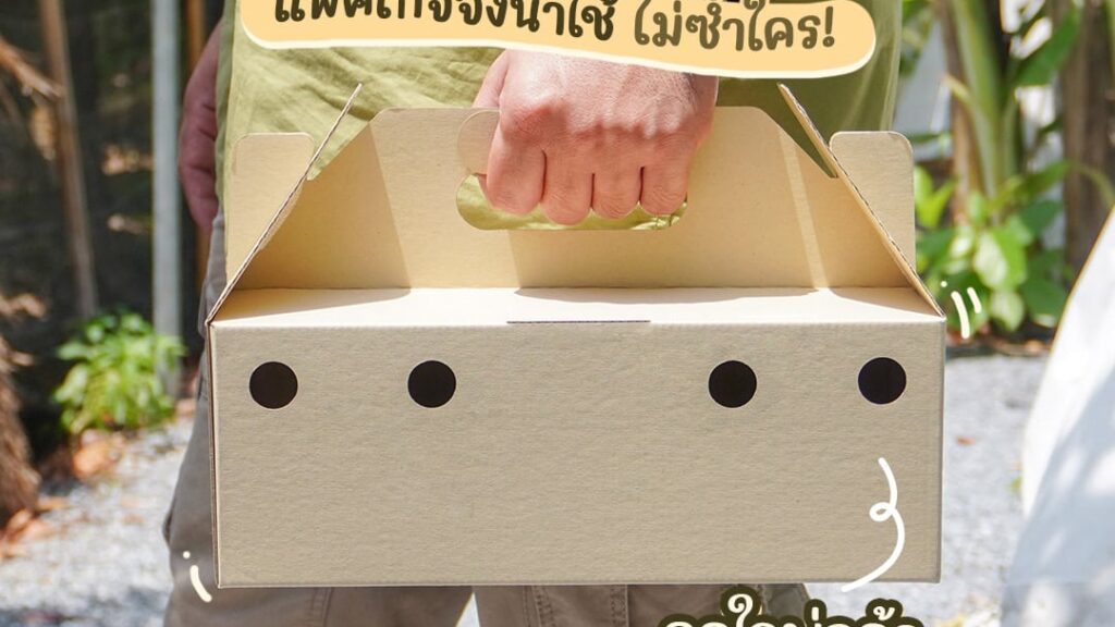 แนะนำกล่องกระดาษใส่อาหาร มีหูหิ้ว สำหรับใส่ขนม อาหารคาว และเบเกอรี่
